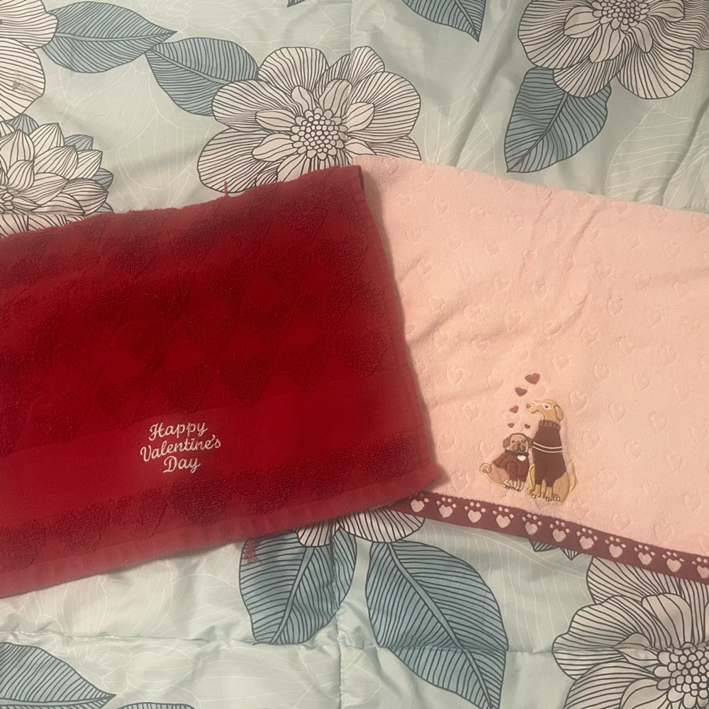 Red and Pink Valentine's Day Towel Set